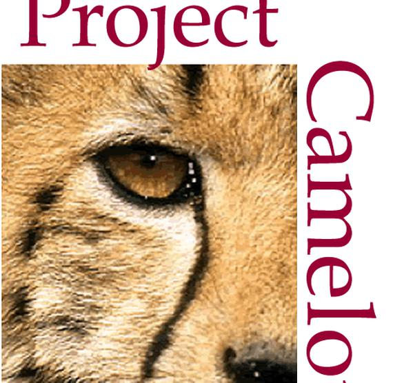 Project Camelot